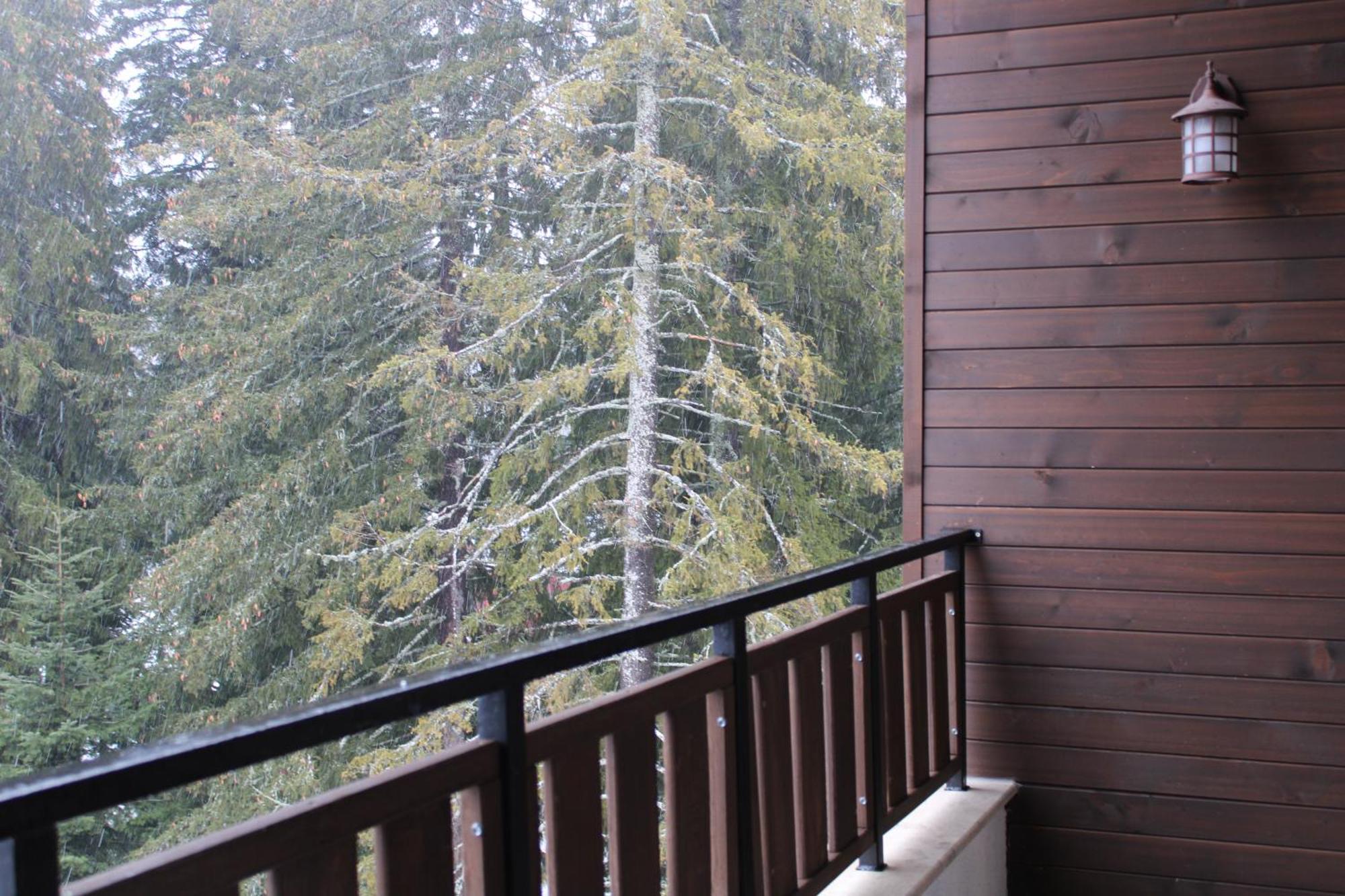 Mountain Studio Asp E63 Borovets Gardens Dış mekan fotoğraf