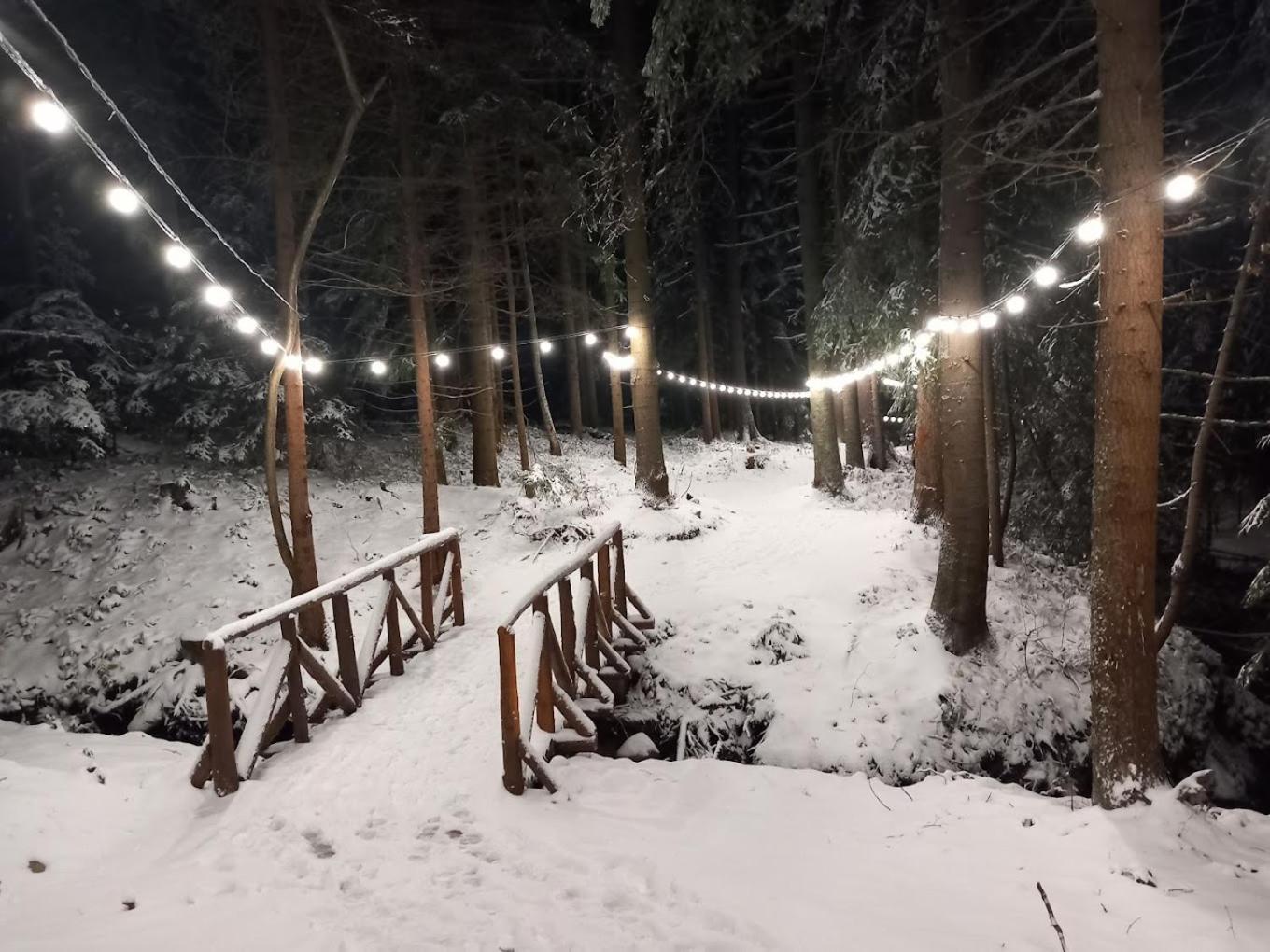 Mountain Studio Asp E63 Borovets Gardens Dış mekan fotoğraf