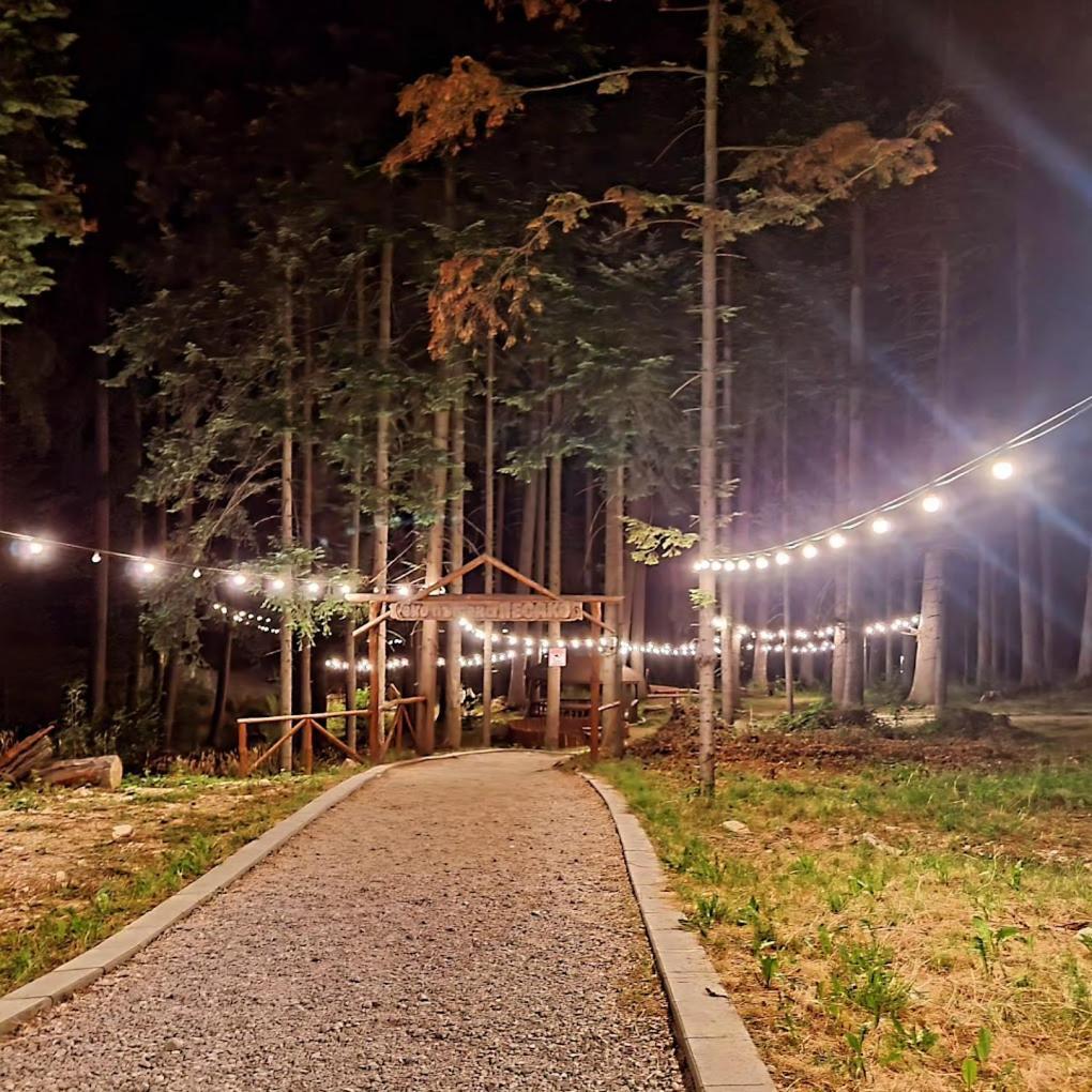 Mountain Studio Asp E63 Borovets Gardens Dış mekan fotoğraf