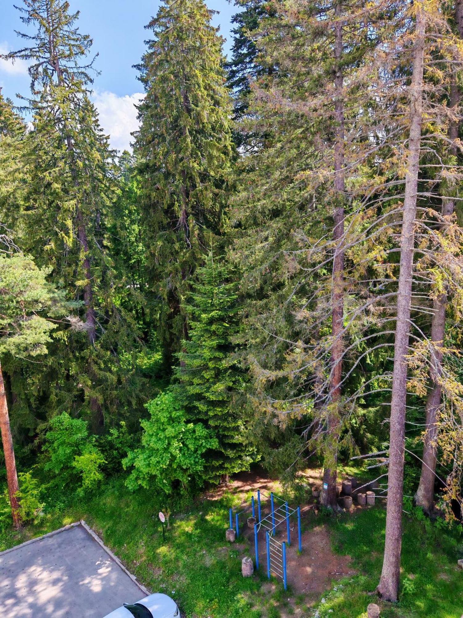 Mountain Studio Asp E63 Borovets Gardens Dış mekan fotoğraf