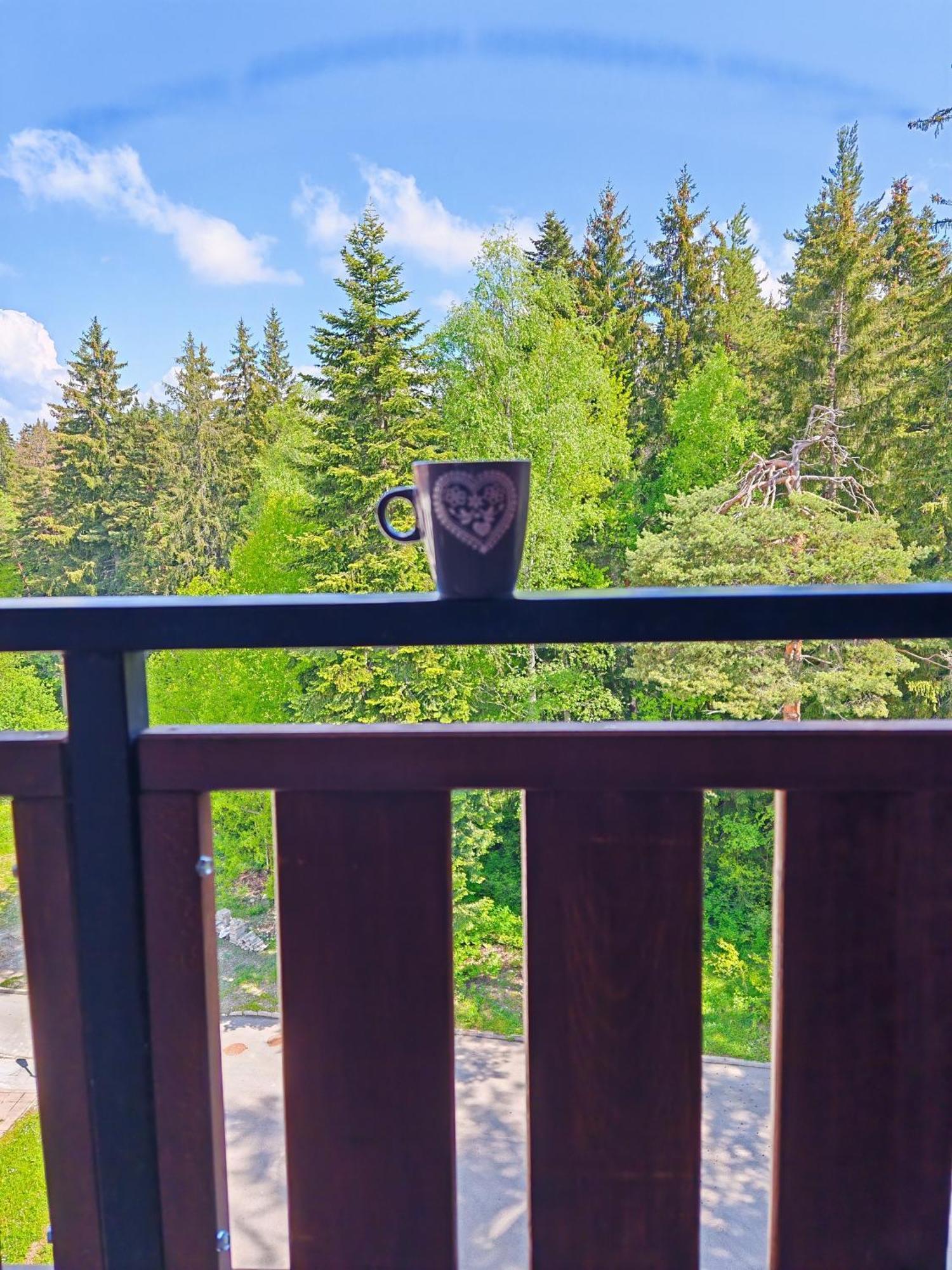 Mountain Studio Asp E63 Borovets Gardens Dış mekan fotoğraf